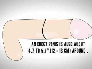 Collez votre porno c ...